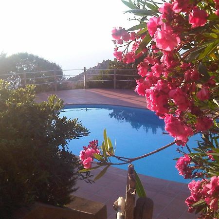Vila Domus De Janas Costa Paradiso Exteriér fotografie