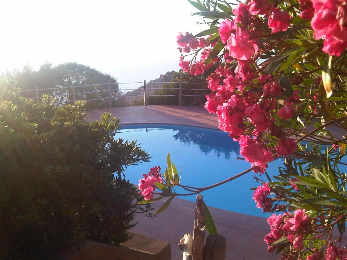 Vila Domus De Janas Costa Paradiso Exteriér fotografie