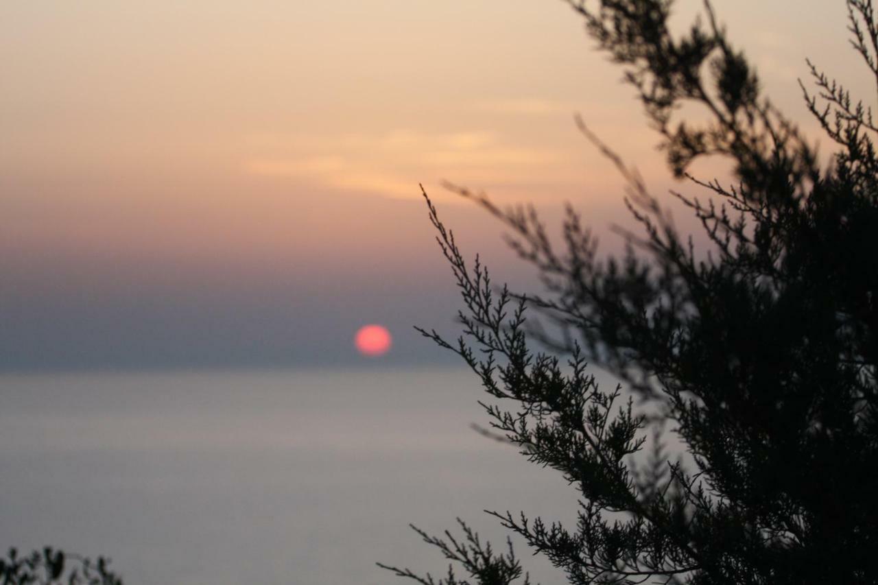 Vila Domus De Janas Costa Paradiso Exteriér fotografie
